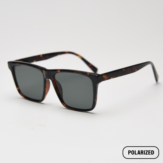 Eclipse - Polarized